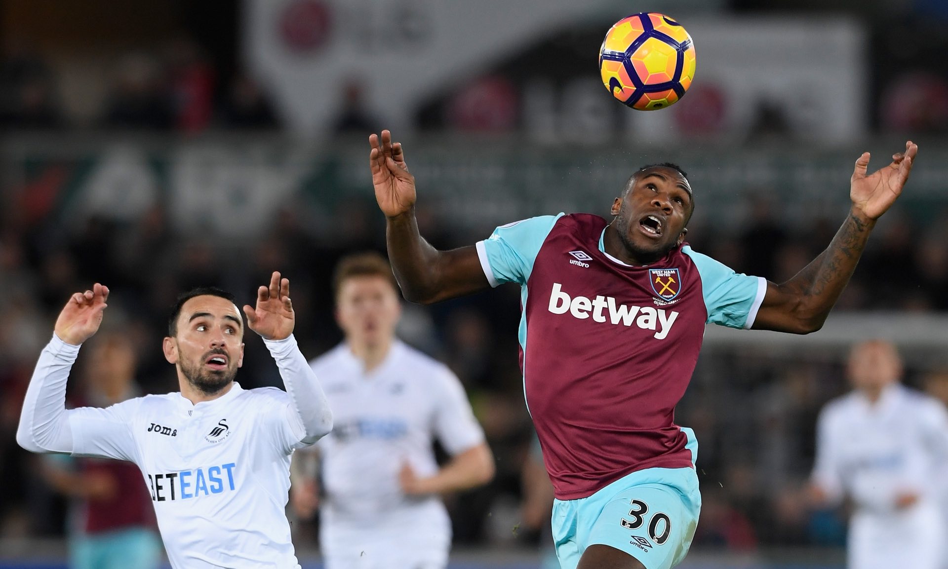 職業生涯的 職業生涯的